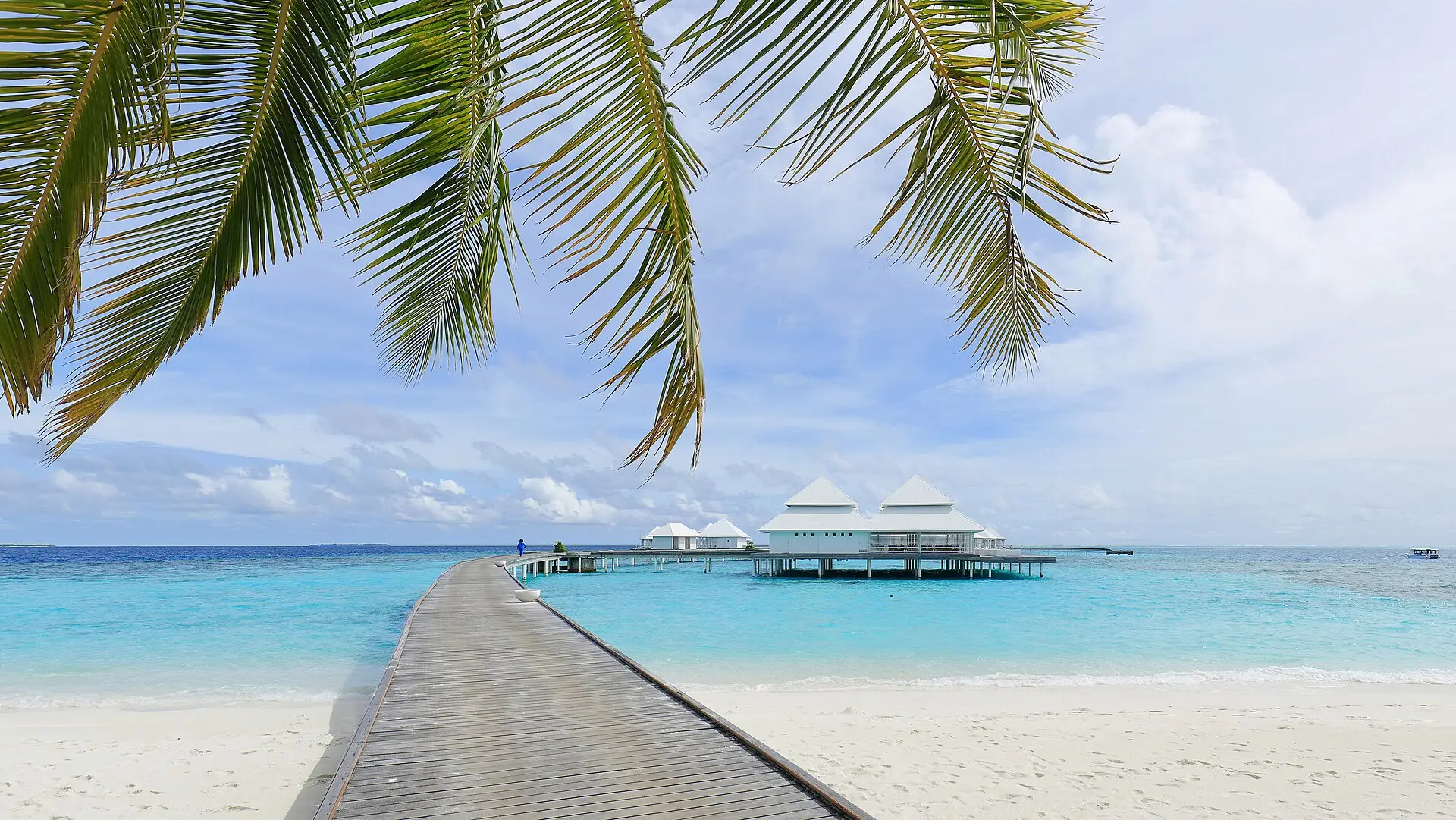 A wooden jetty leading from a white beach under palm fronds towards water villas at Thudufushi