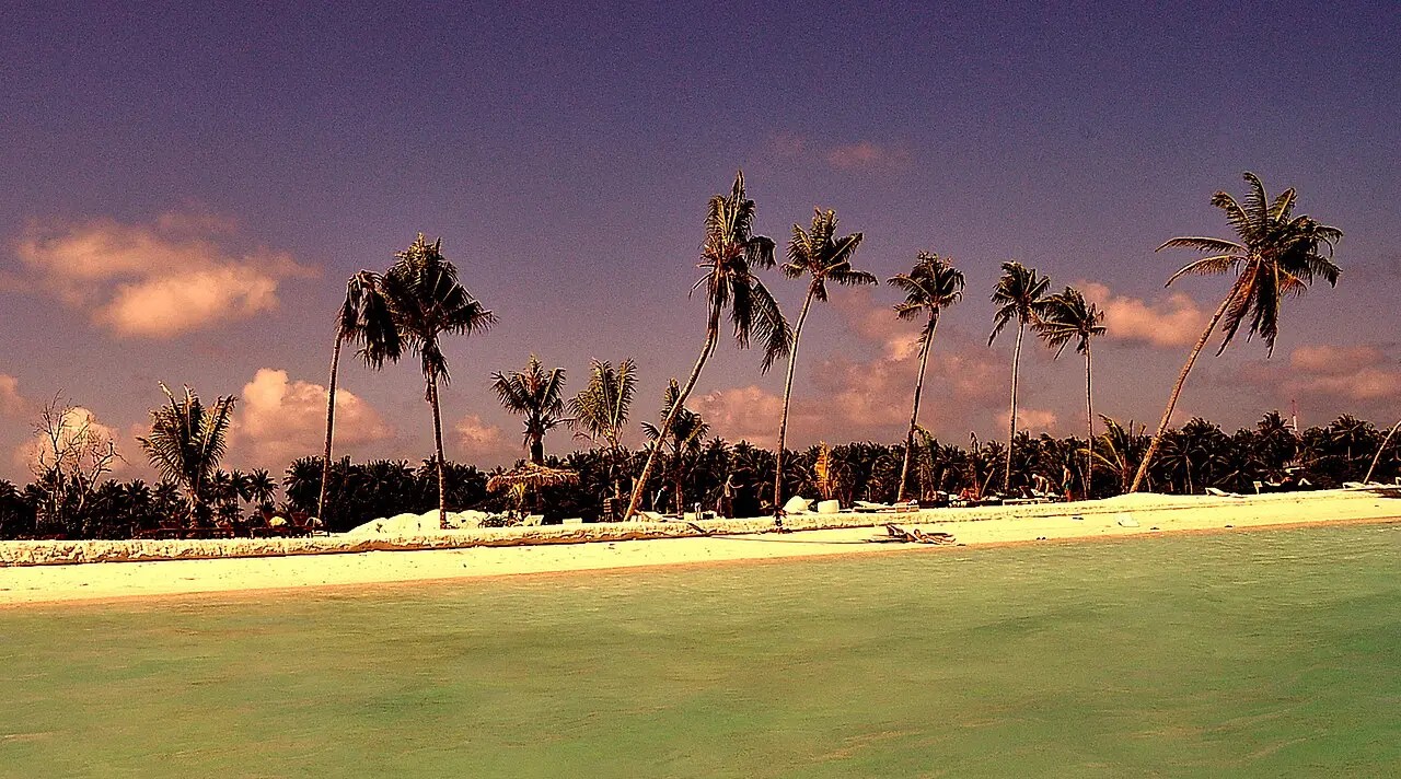 A row of tall palm trees along the beach of Huraa under a pink and purple sky