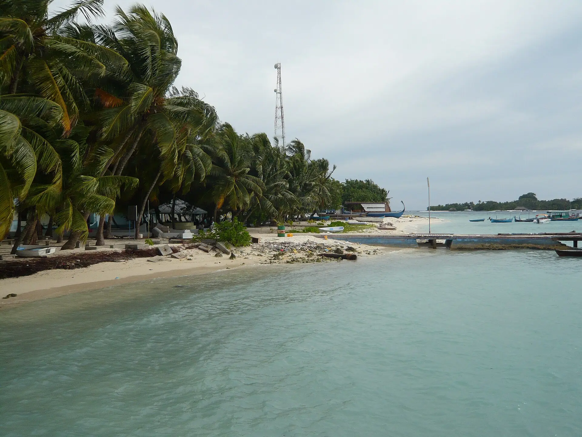 Palm-lined beach and a small pier on Rasdhoo with calm, clear shallow water